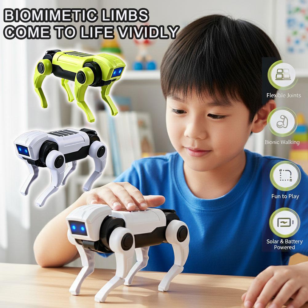 1/2 Pezzi Robot Telecomandato  - Science Robotics recensione e prezzo