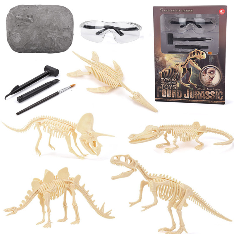 Kit di Scavo di Fossili di Din - Science Kit recensione e prezzo