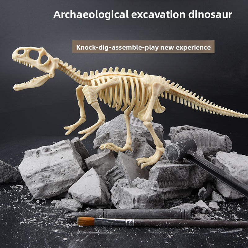 Kit di Scavo di Fossili di Din - Science Kit recensione e prezzo