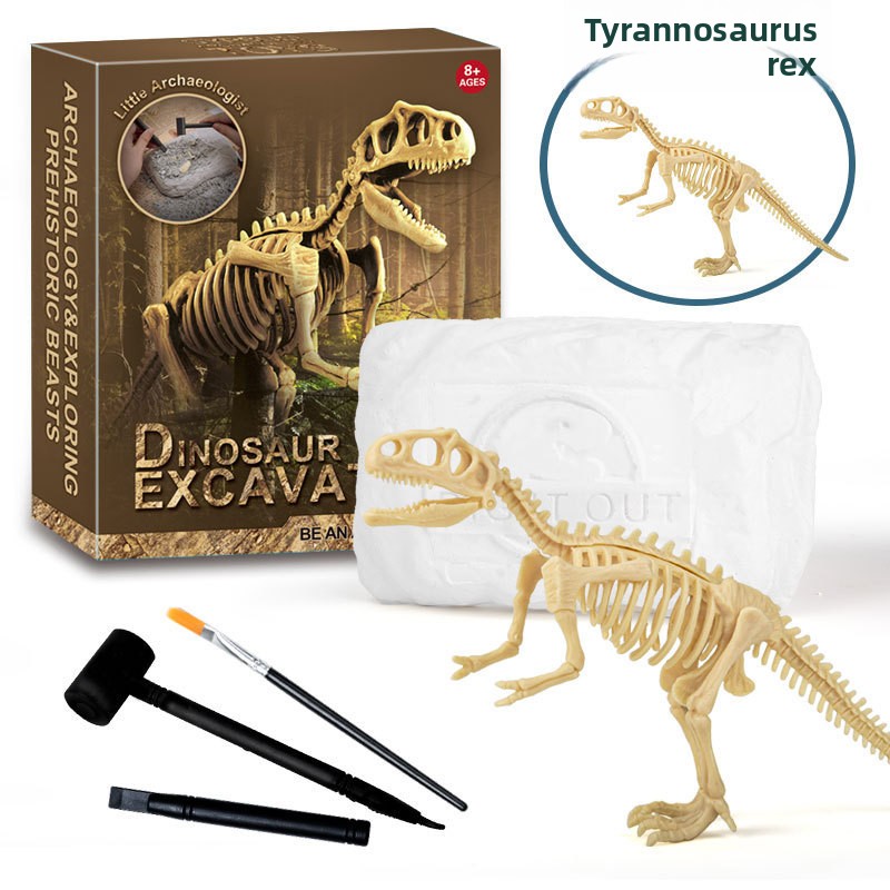 Kit di Scavo di Fossili di Din - Science Kit recensione e prezzo